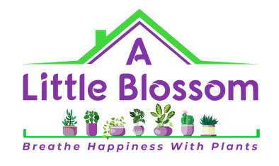A Little Blossom
